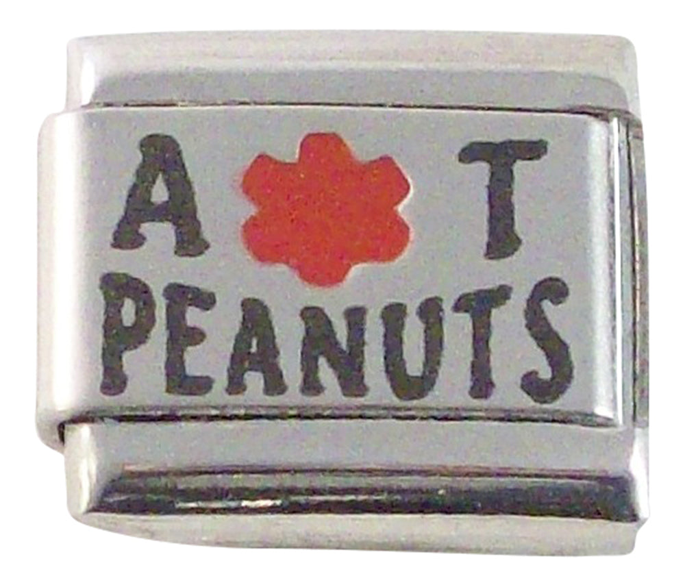 Gadow Jewelry Allergic to Peanuts Italian Charm for Bracelet