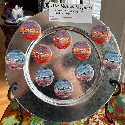 Magnets of Lake Murray Purple Martins and the Dam